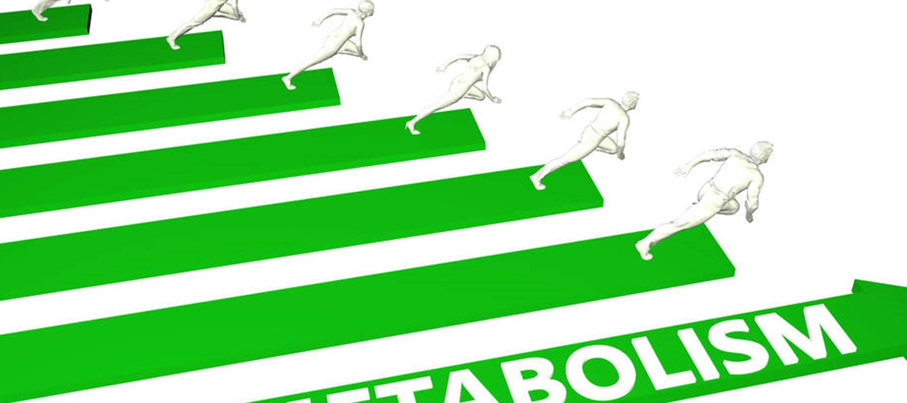 物质|肝的“修复器”找到了,不是绿豆,混着水喝,肝一天比一天干净