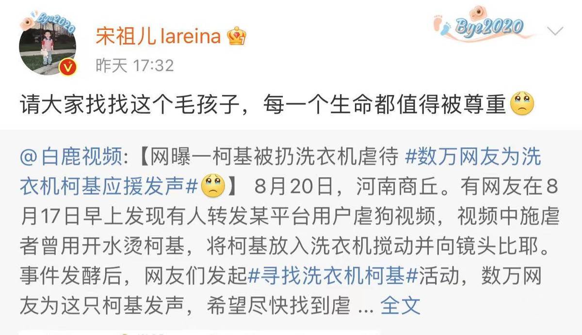 生命|格局+正能量！宋祖儿为洗衣机柯基发声：每一个生命都值得被尊重