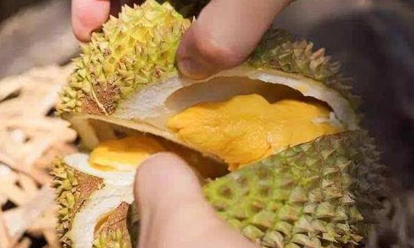 榴莲分公母怎么挑 d585cd9443e9439aa191bb12365bf87e.jpeg