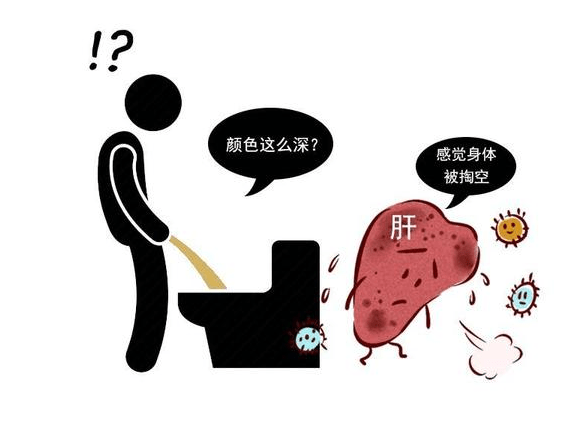 肝脏|肝不好的人，身体可能会发出4个信号，注意预防，避免肝脏生病