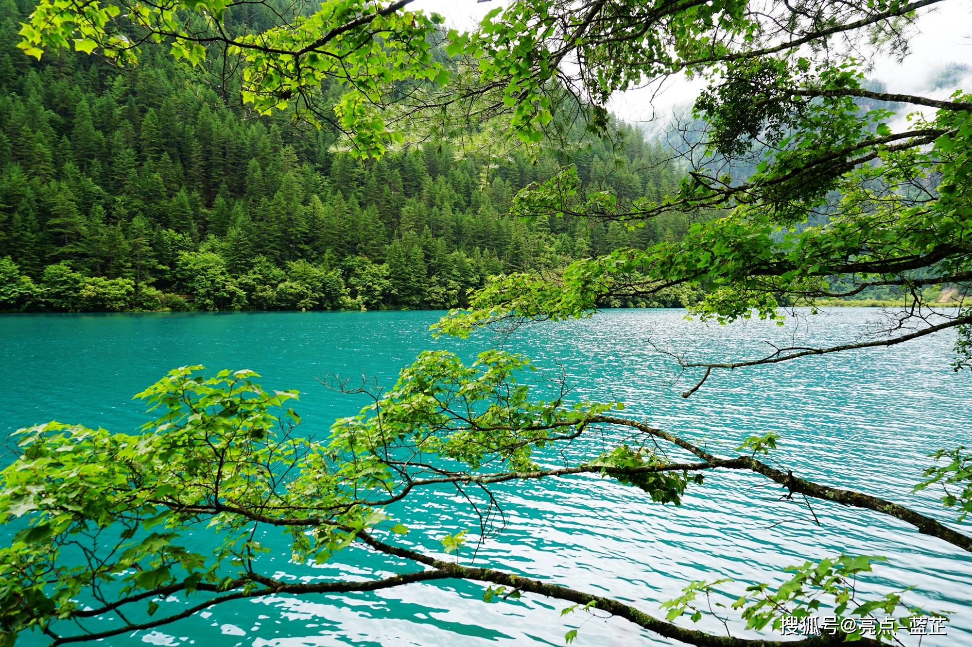 原创童话世界人间天堂九寨归来不看水一眼看尽世间美景