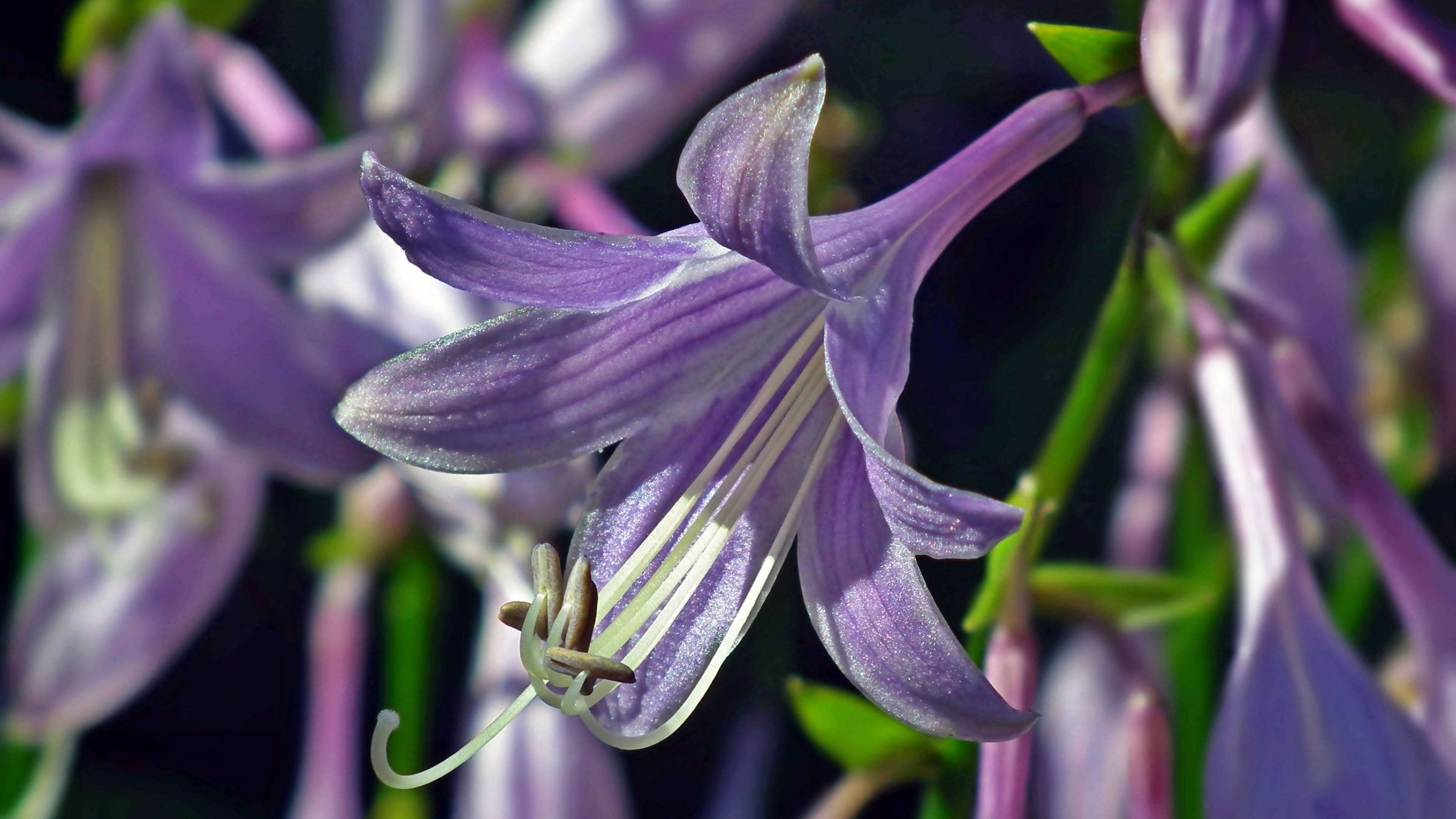 8月24日星座运势 巨蟹贵人相助 天蝎把握机会 射手广纳善言 工作