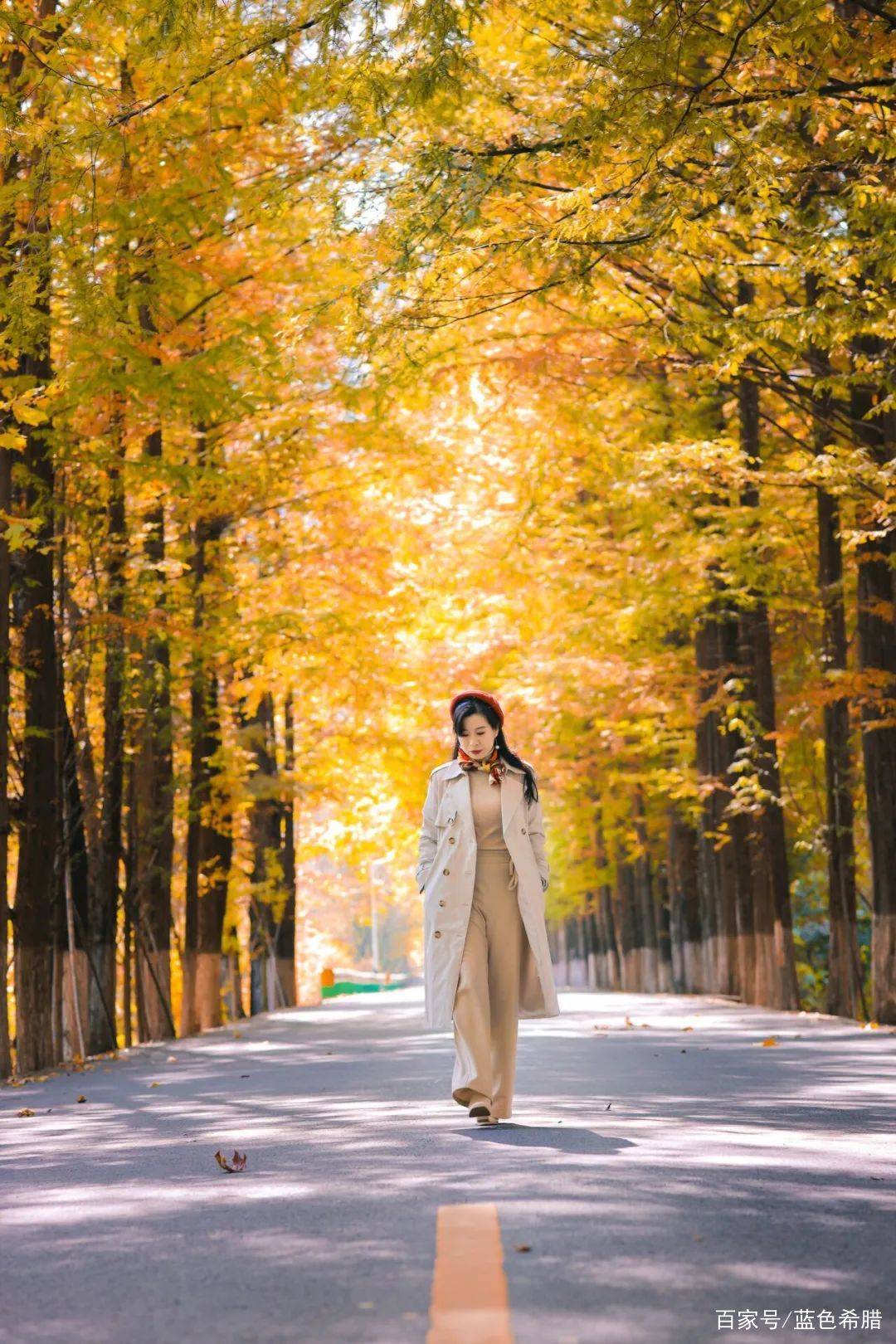 拍照怎么拍出高级感的照片 0477d27e5b374f94a71b33400f27c115.jpeg