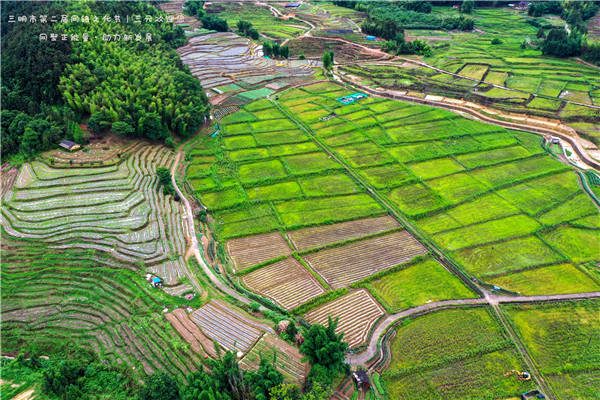 网络文化节 | 【组图】三元洋溪梯田美如画