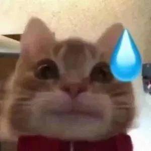 到底什么是真的什么是假的表情包 58226342ca294d08b1d5db65bbeadd8a.jpeg