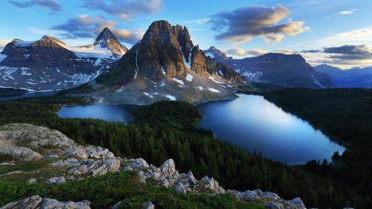 属猪的女人,优雅从容,有颜值又有财运,福气运气也很足.