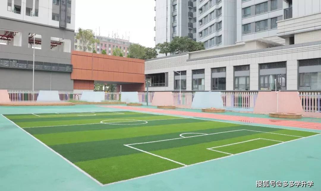 中小学|幼小初高全都有！深圳这个区今年9月将有16所学校开门迎“新”