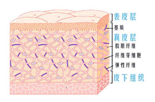 因为|外油内干是不是营销噱头？