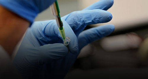 管局|美国药管局完全批准辉瑞新冠疫苗使用授权