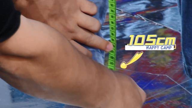 杜海涛|《快本》现场量腿长，王彦霖106，丁程鑫105，杜海涛不足100