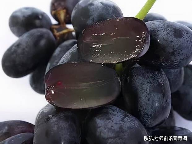 用于描述|葡萄酒常见香气分类图鉴详解,果实类香气图鉴、特点及品鉴方法