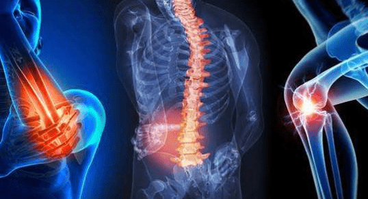 模型|炎症的危害你了解吗 芝麻素的抗炎机制