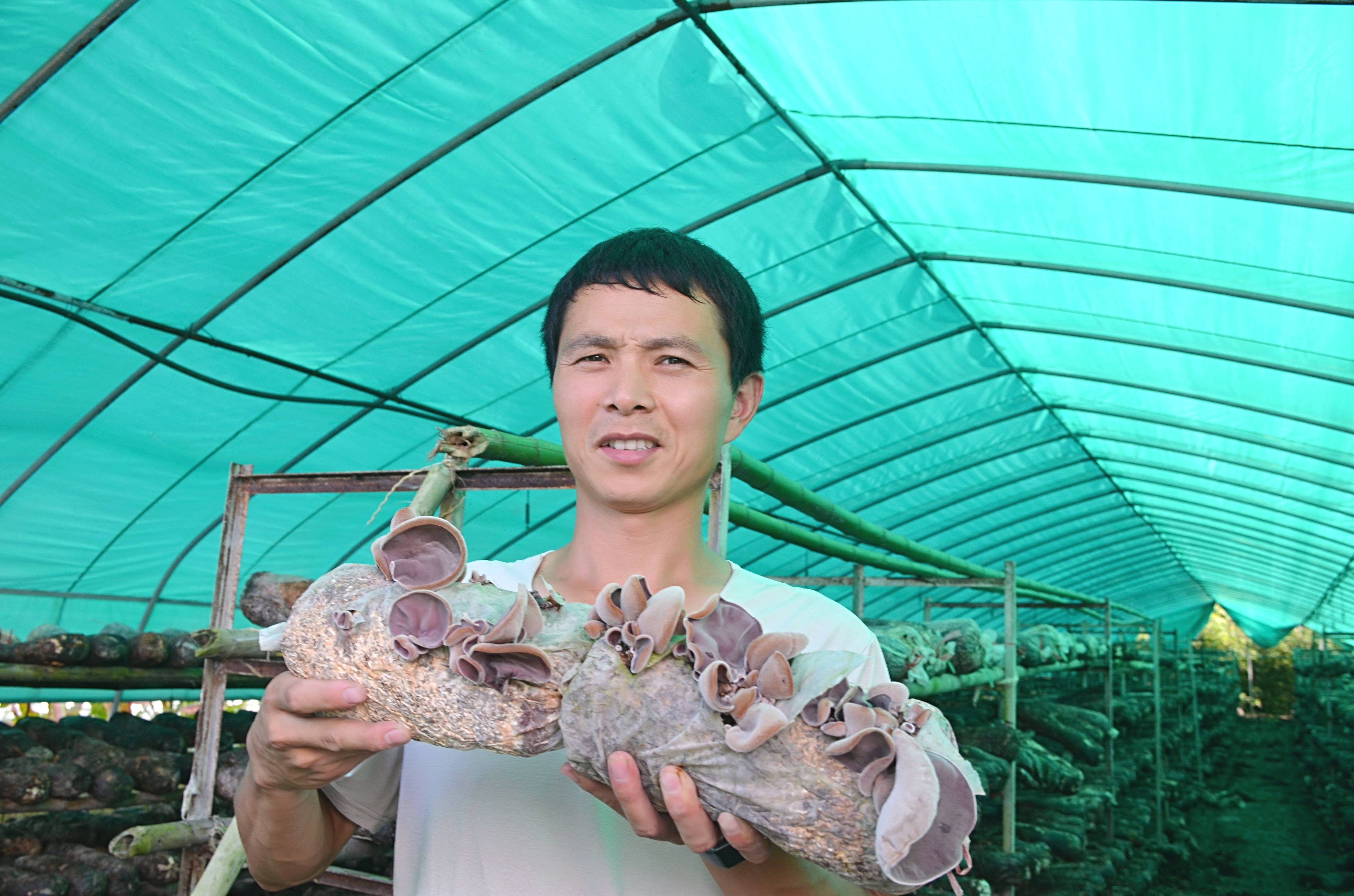 菌棒|发现美丽乡村——行走千年古县上蔡 发现乡村振兴标兵邵亚棚