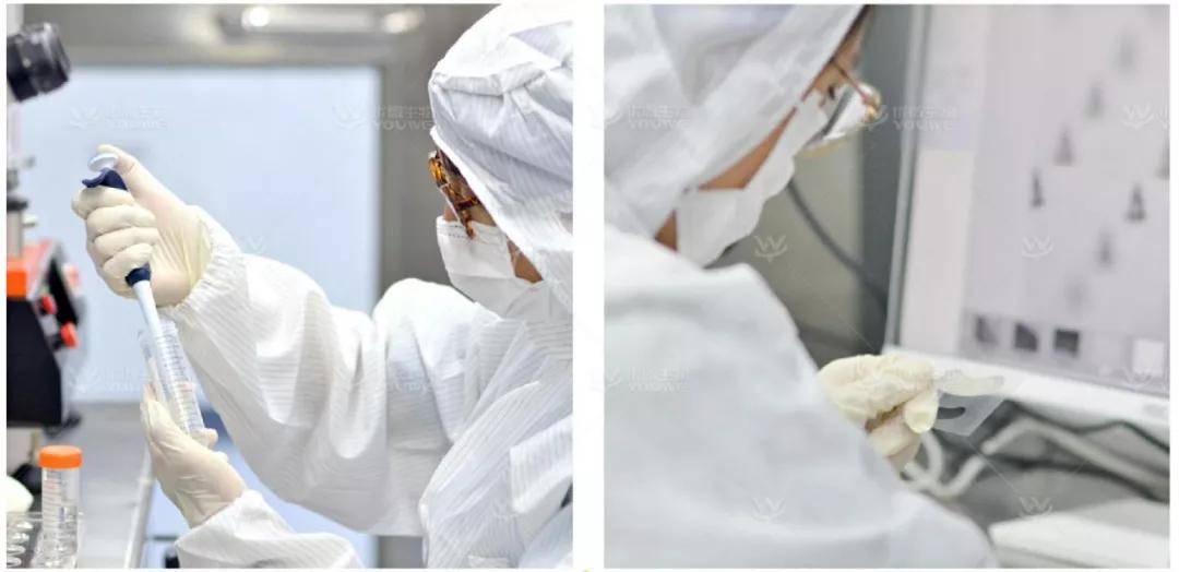 产品|备受资本青睐的优微生物，会成为千亿功效护肤市场的破局者吗？