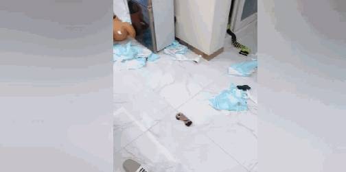 玩具|柯基越狱拆家,主人买来狮子玩具,柯基被玩具治得服服帖帖……