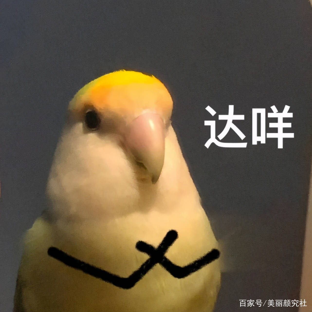 显得|普通女孩千万别碰的8种穿法，又土又显胖，颜值再高也拯救不了