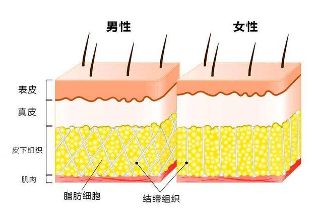 脸部|夏天总是满脸油光，佰花方控油收敛水让你夏天不再油到反光！