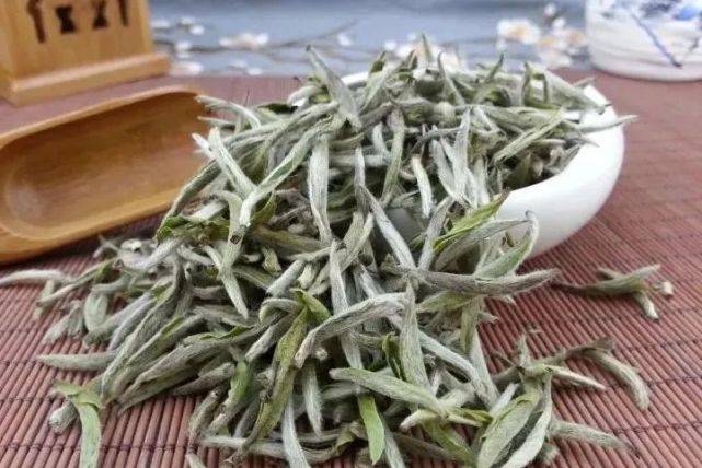 福鼎|福鼎白茶丨南北方如何正确存放？