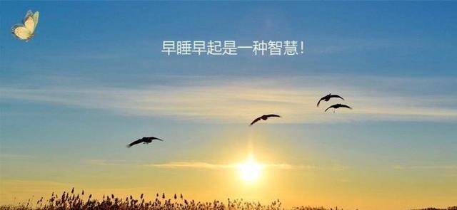 人体|佑亿健康:健康知识小常识