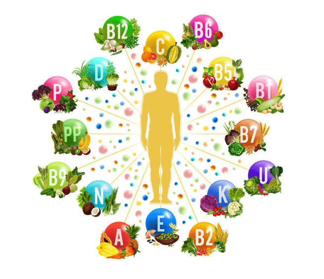 食品|瑞妮葆芝麻素SVE--补充细胞营养