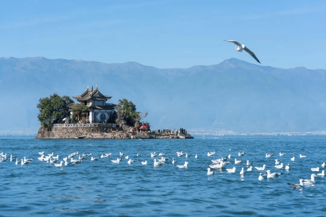 大理洱海福门大理红羽音乐文化公司合作签约仪式举行