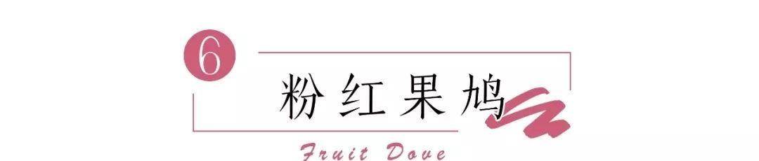 颜色|秋冬流行色大型种草现场，6种无法拒绝色系，张扬的女人挺迷人的