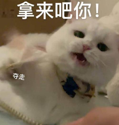 因为|哪些人的皮肤状态，不适合做医美！