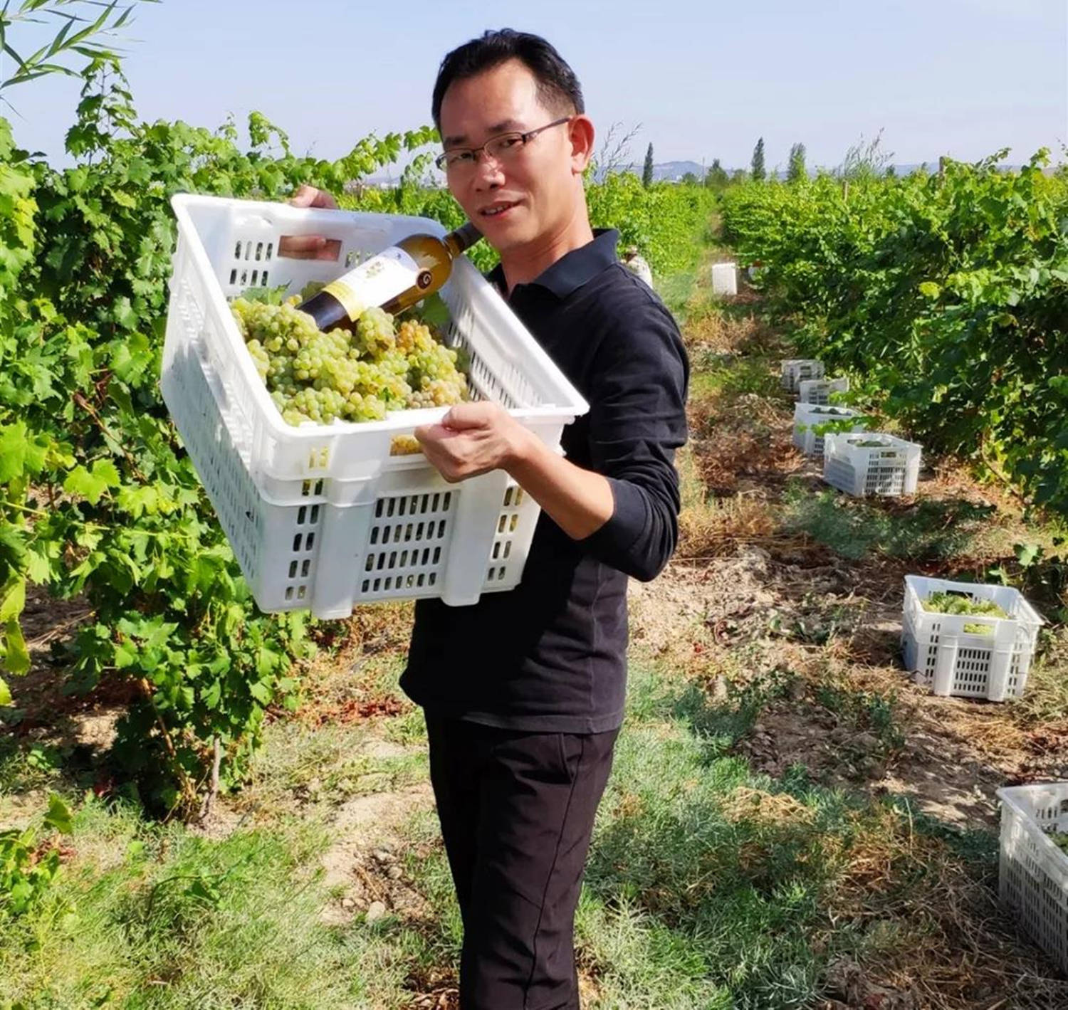 潘家鑫|天山北麓酿好酒，潘家鑫畅谈发展有机农业心路历程