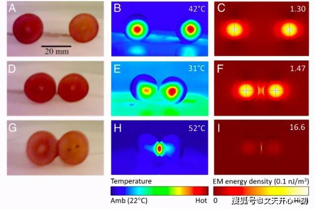 气态|不要模仿！把两颗葡萄一起放进微波炉，能烧得你家都没了