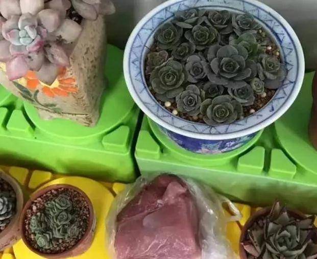 家长|幼儿园作业真的“苦不堪言”？家长：谢谢老师让我“成功经商”