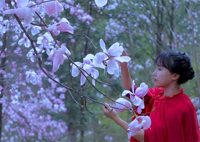 李子柒用 辛夷花 做美食 好看又好吃 很多人没见过 你吃过吗 花蕾