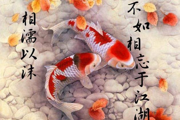 图片来源于网络:相濡以沫,不如相忘于江湖在自己最喜欢的地方,过着
