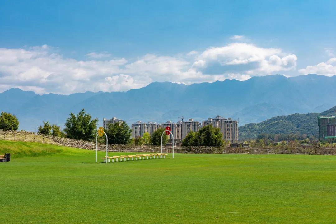 的花海|【国家AAAA级景区】腾冲原乡栖花岭景区