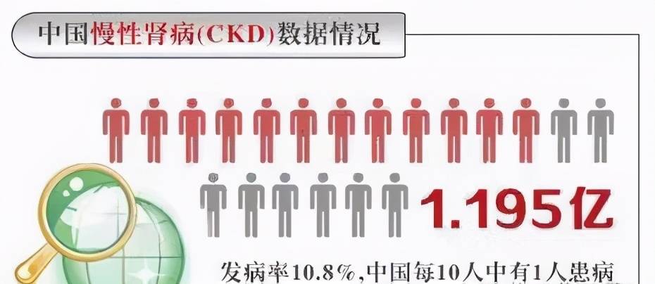 肾脏|慢性病怎么保护肾脏?医生:了解病因及诱因后,保护肾脏,心不慌