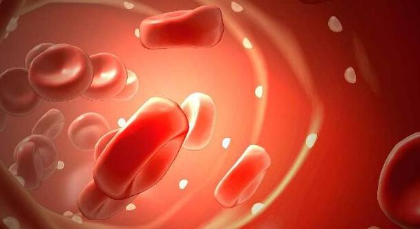 治疗|想要控制蛋白，肾病患者首先要控制好两个指标