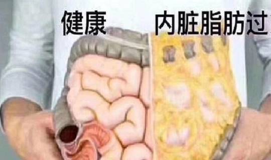 9389accfe1b84257ab68c594b5aa4828.jpeg