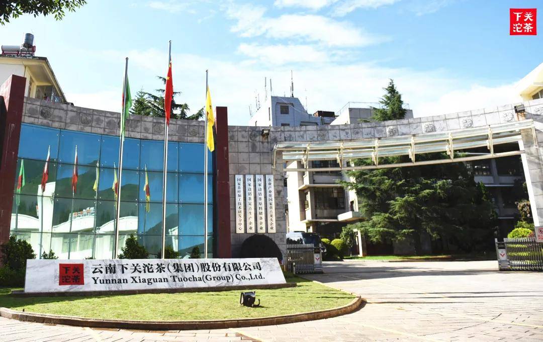 游记走进下关沱茶厂