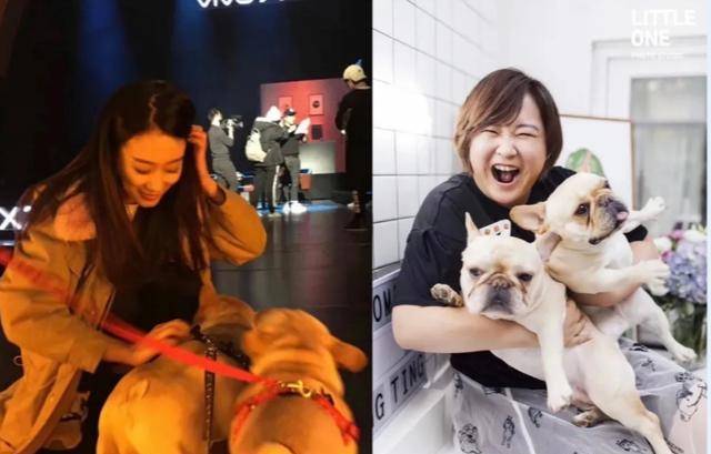 商务|张小斐改签新公司，贾玲的“放手”，揭开娱乐圈“姐妹情”的真相