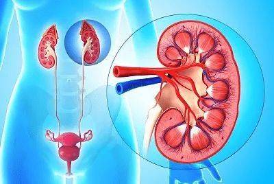 生理性|小便呈现橘红色 很可能是这些原因