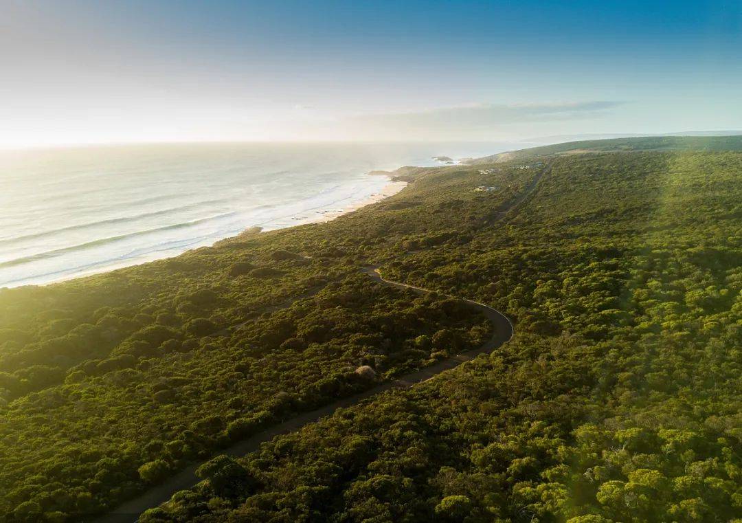 葡萄|双节将至,旺季到来,这些葡萄酒赶紧安排上!