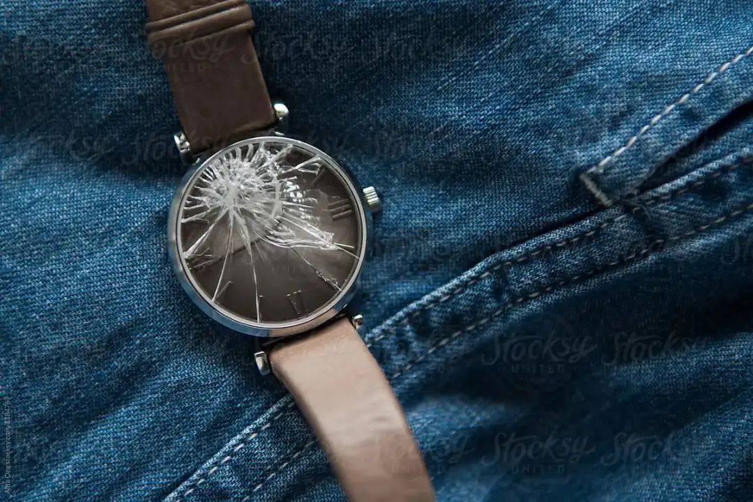 防尘|RR · TRENDS | 给腕表找个“家”