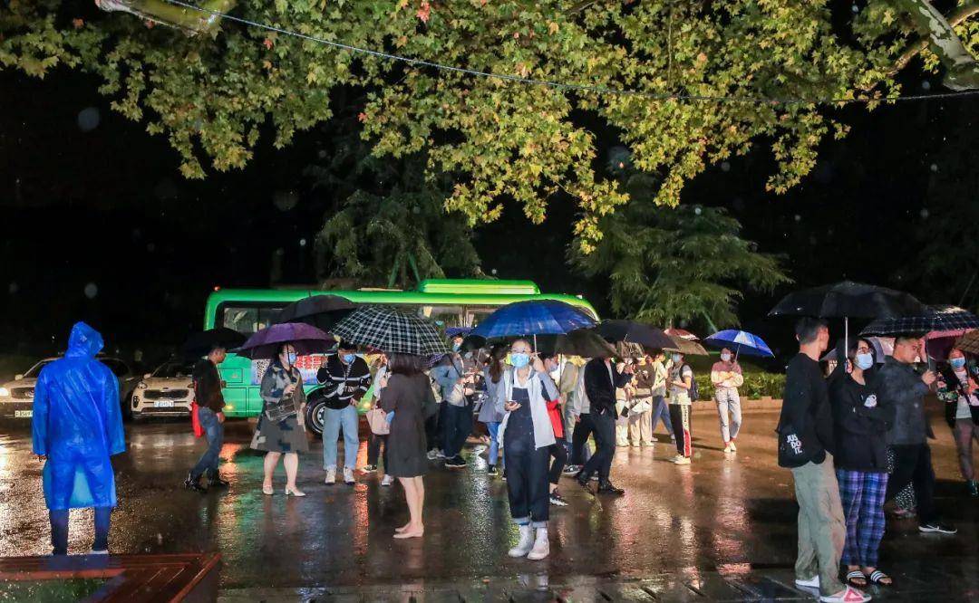 森林的欢聚：风雨中的“大考”，南京人交出漂亮答卷！