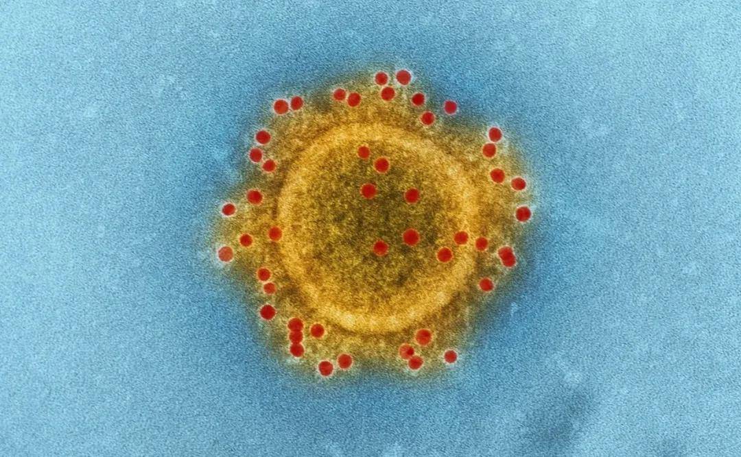 病毒|免疫细胞存储有多重要?看看它与人类健康的8大关系!