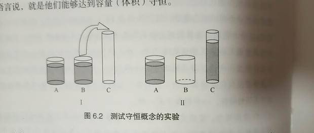 皮亚杰守恒实验图片图片