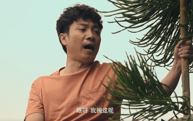 剧情|一部小众喜剧片，揭开了中国第3代喜剧人的序幕！