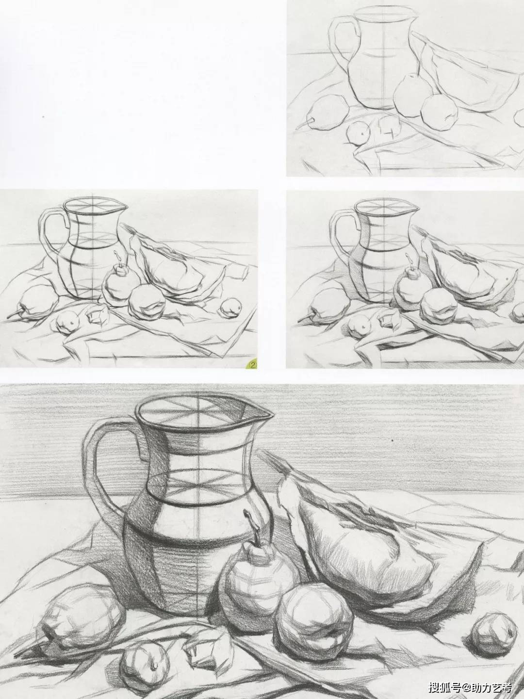 静物素描基础入门静物单体静物组合结构素描