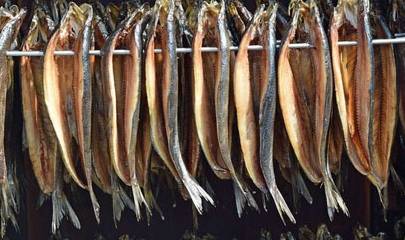 肝脏|养肝吃什么好，五种食物考虑多吃，可“清理”肝脏