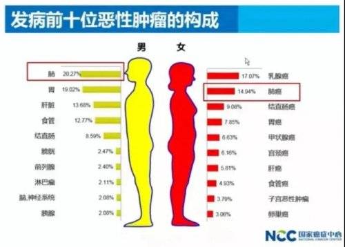 肿瘤|武汉中阳中医院肿瘤科黄宏主任谈肺癌的早期症状