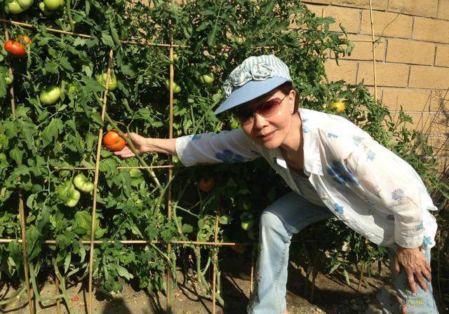 刺绣|老戏骨归亚蕾真洋气！蝴蝶衬衣配刺绣牛仔不像76岁，拖鞋更特别