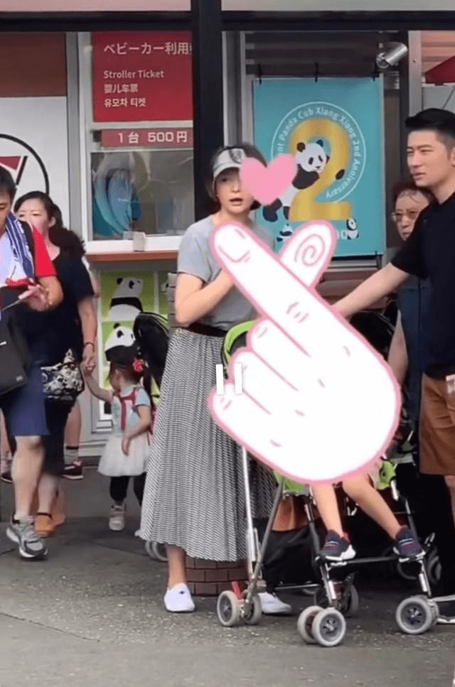 形象|董卿现身开会,罕见弯腰驼背乱蓬蓬头发抢镜,坐头排头也不梳头